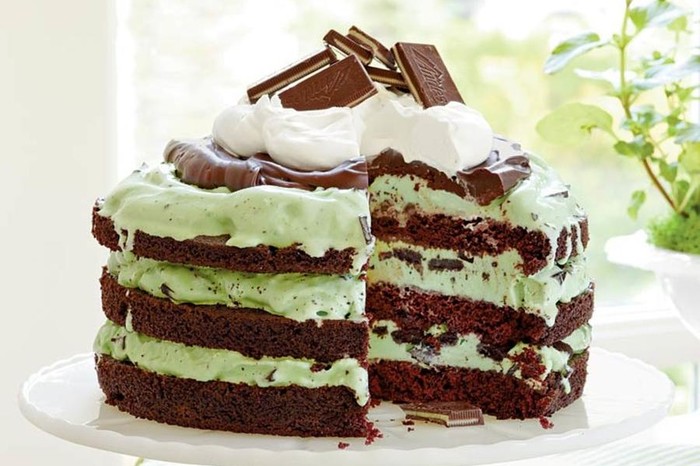 Mint Chocolate Ice Cream Cake